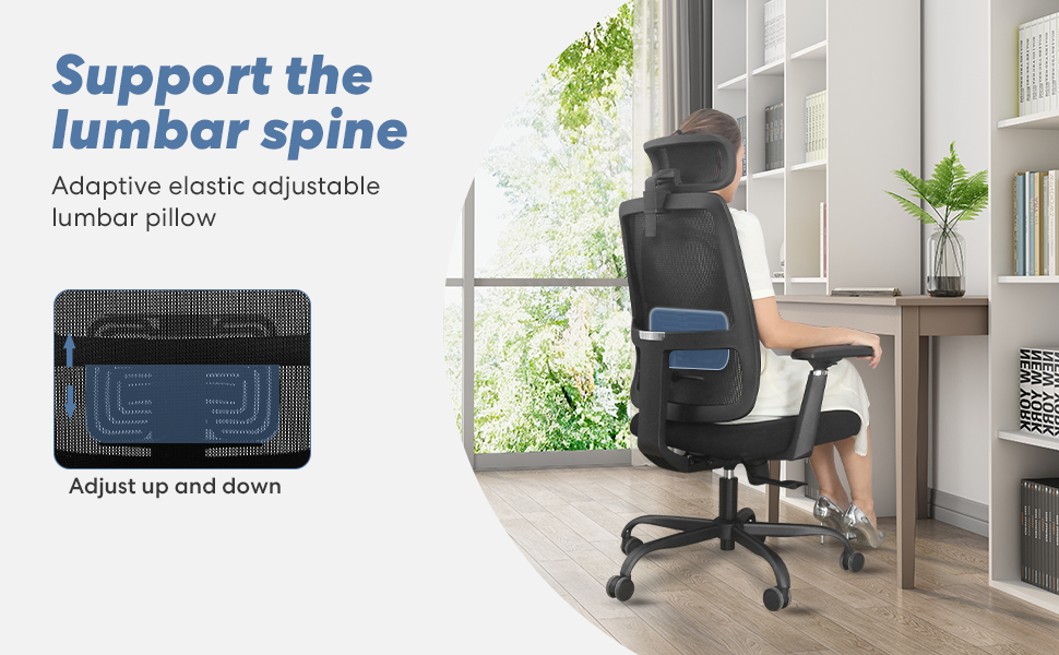 Lumbar Support Office Chair 120°Tilt  with Soft Flip Up Arms